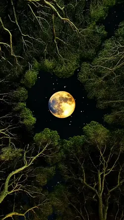 FOTO NA LUA 