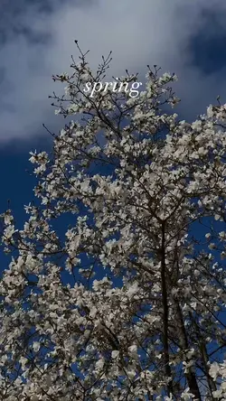 Spring vibe🌸