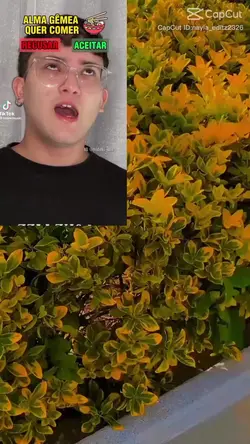 vídeo com slime
