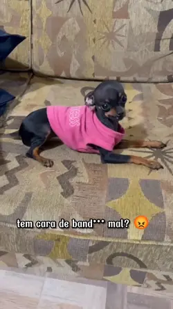 um amorzinho 