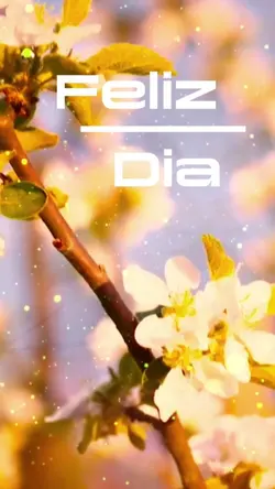 Feliz dia