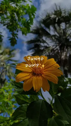 Junho dump