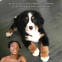 removendo fundo+meme