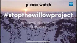 stopthewillowproject
