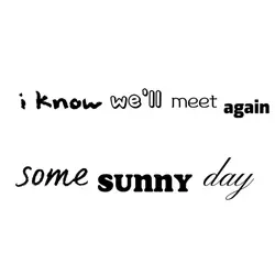 we'll meet again
