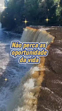 Oportunidade da vida