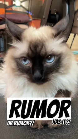 Rumor has it! 