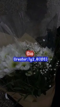 4 ảnh | gió (remix)