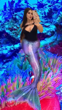 SEJA SEREIA