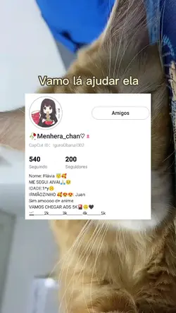 Seguem ela lá 
