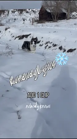 Runaway Lyrics ❄️