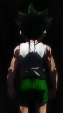 Hunter X Hunter 