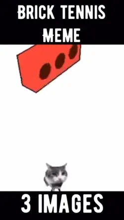 Brick Tennis Meme
