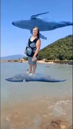 baleia ou golfinho 