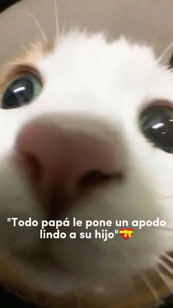 te quiero mucho papá