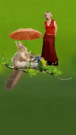 TREND ANIMAIS FOTO