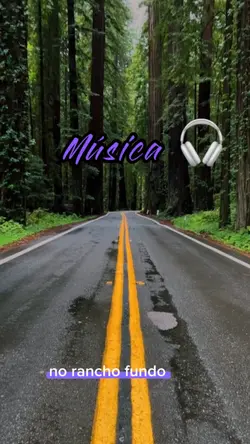 Música 🎧 