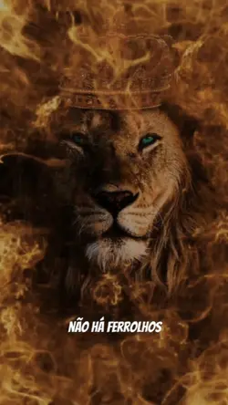 O escudo