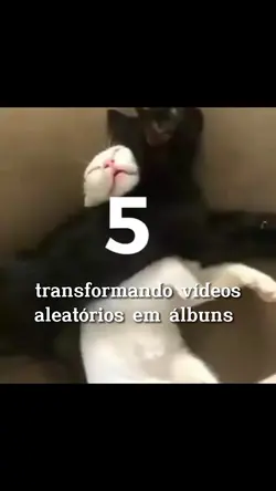 Trend aleatória kk