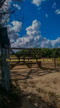 reflexão do dia