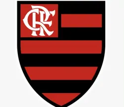 Flamengo perdeu DNV 
