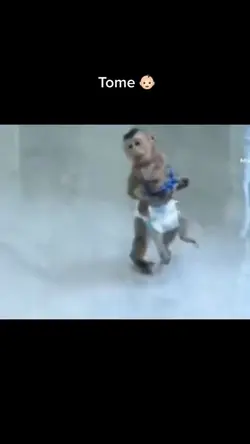 Meme macaco 