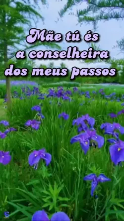 Mãe tú és a...