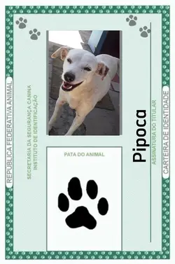 Carteira d identidad