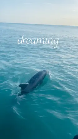 dreaming of summer 🌊