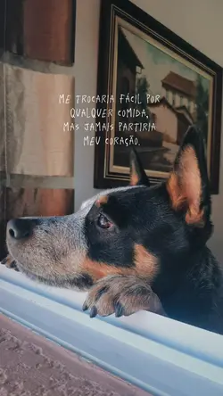 Amor bichologico 