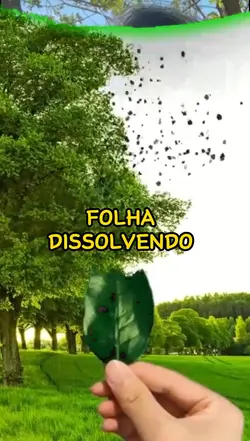 FOLHA DISSOLVENDO