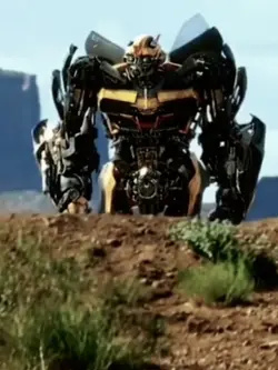 Bumblebee♡