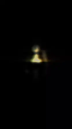 slomo reveal