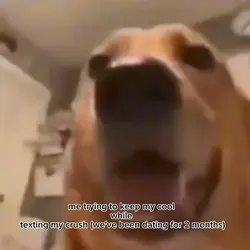 AHHHH 🙀🙀