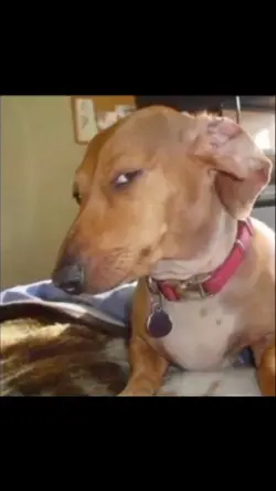 Post yours on tiktok