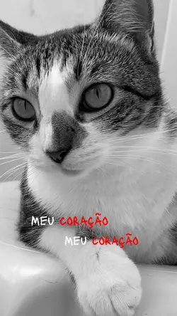 Acerola por você ❤️