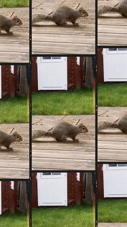 3 Videos 