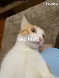 sério aleatório 