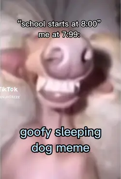 goofy sleeping dog