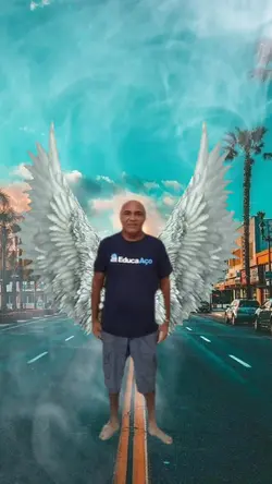 Asas de anjo 