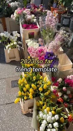 2023 so far trend