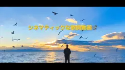 シネマティックな歌詞動画📽