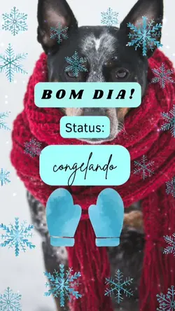 bomdia frio
