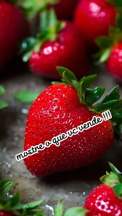 vendas