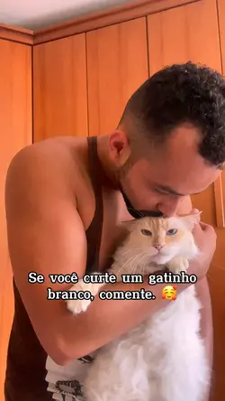 Gatinho branco