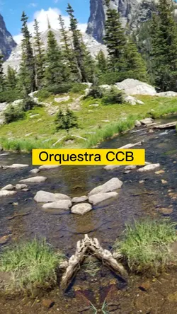 Orquestra CCB 