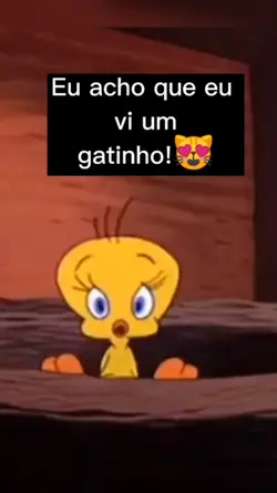 Gatinho lindo!