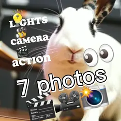 P I C