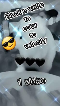 velocity