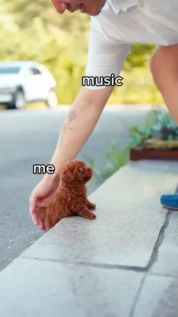 Music is Everything
